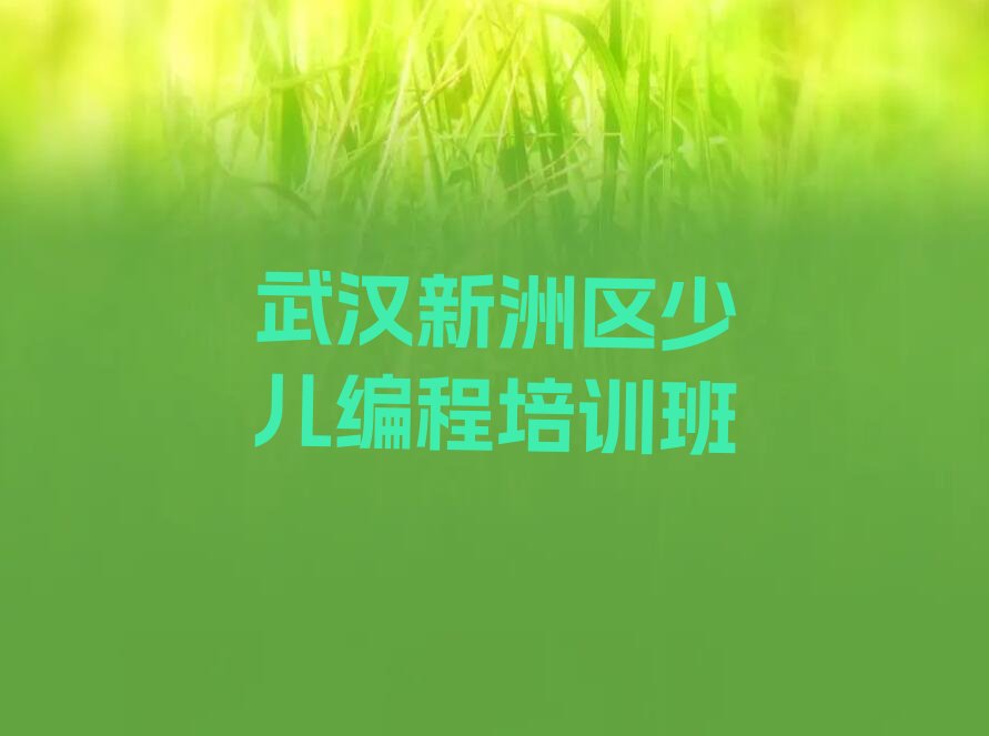武汉新洲区少儿编程培训班