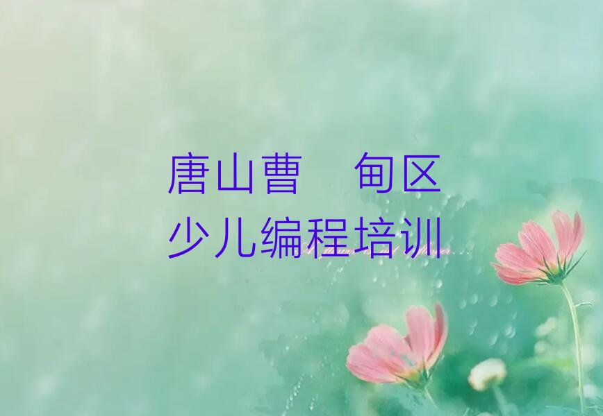 唐山曹妃甸区少儿编程培训
