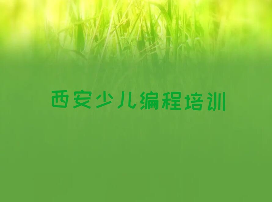 西安鄠邑区秦渡街道少儿编程培训学校