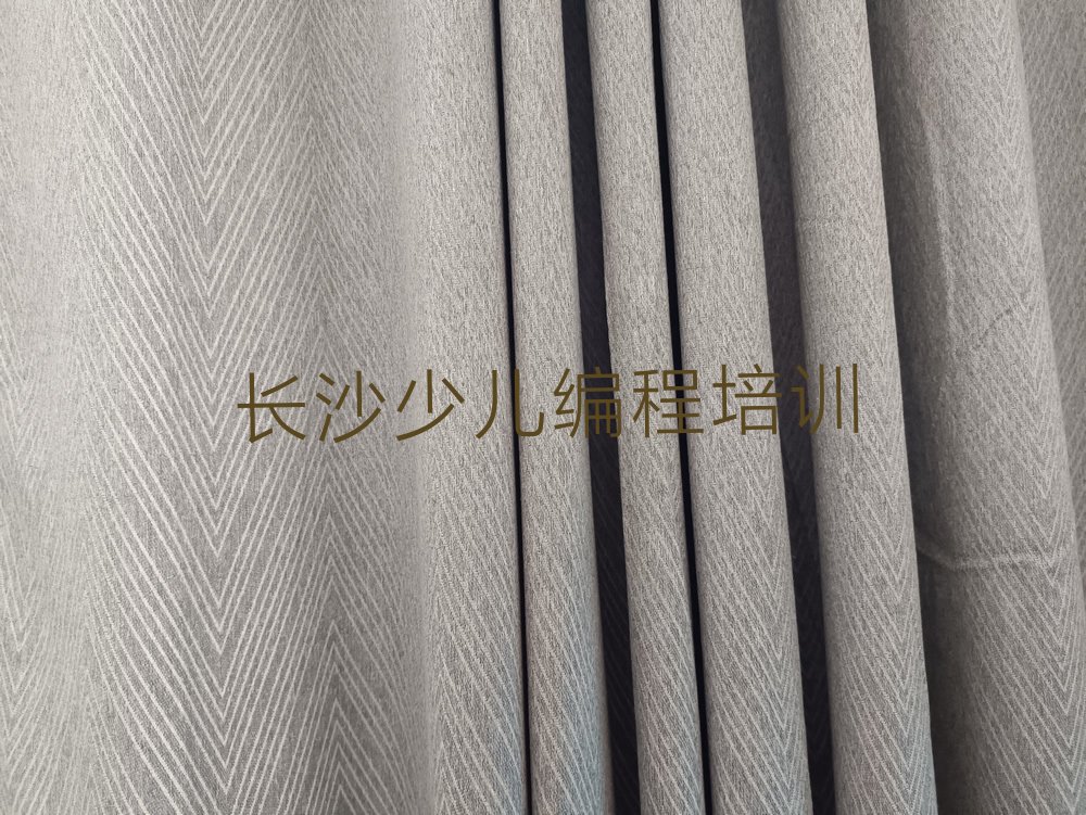 长沙青少年编程培训学校