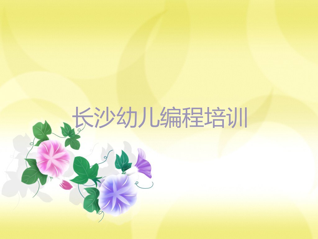 长沙芙蓉区少儿编程培训