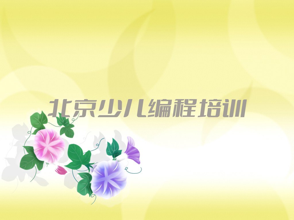 十大北京朝外街道童程童美孩子编程培训班排行榜