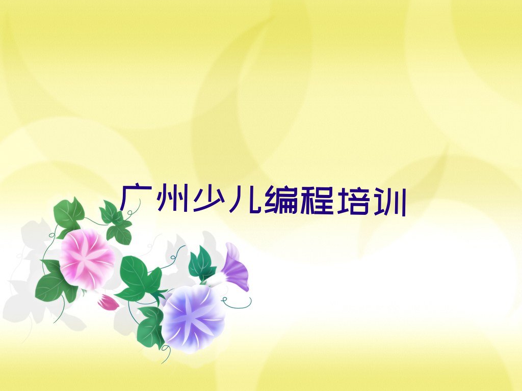 广州白云区少儿编程培训中心