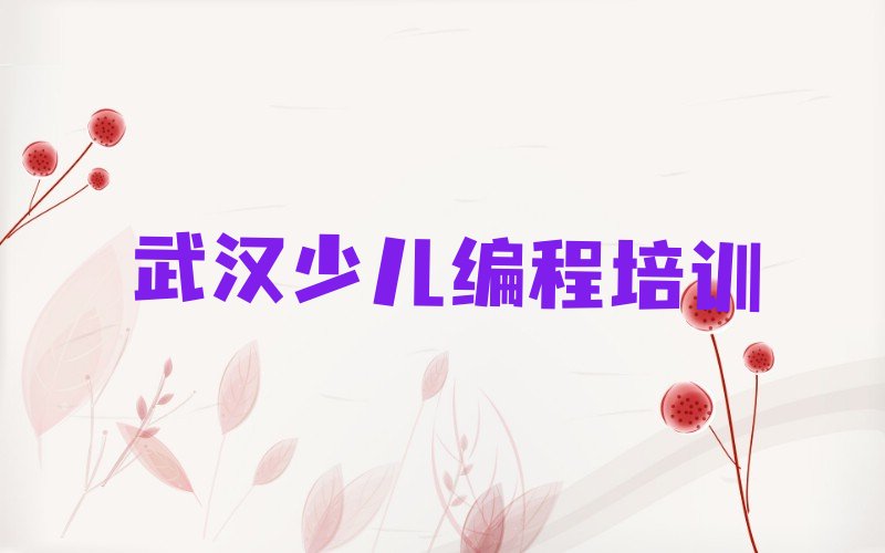 武汉蔡甸区桐湖小孩编程培训学校