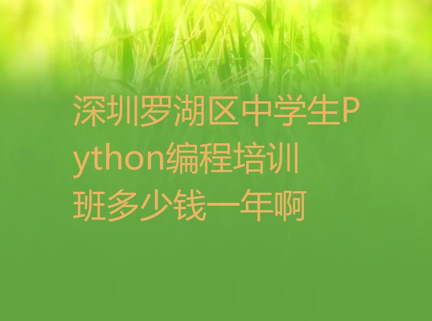 深圳罗湖区少儿编程培训