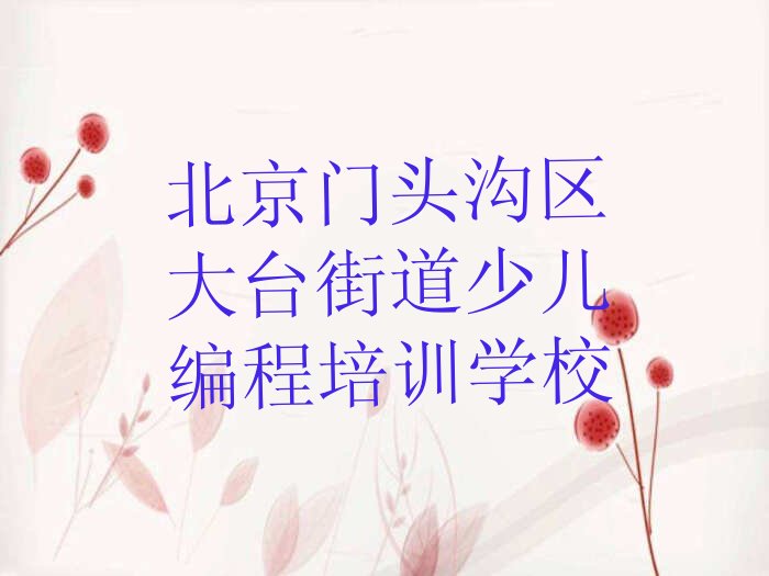 北京门头沟区大台街道少儿编程培训学校