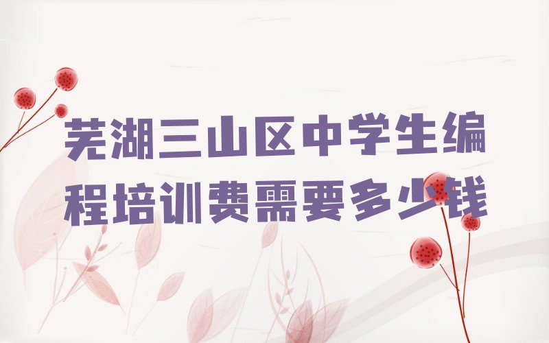 芜湖三山区少儿编程培训中心