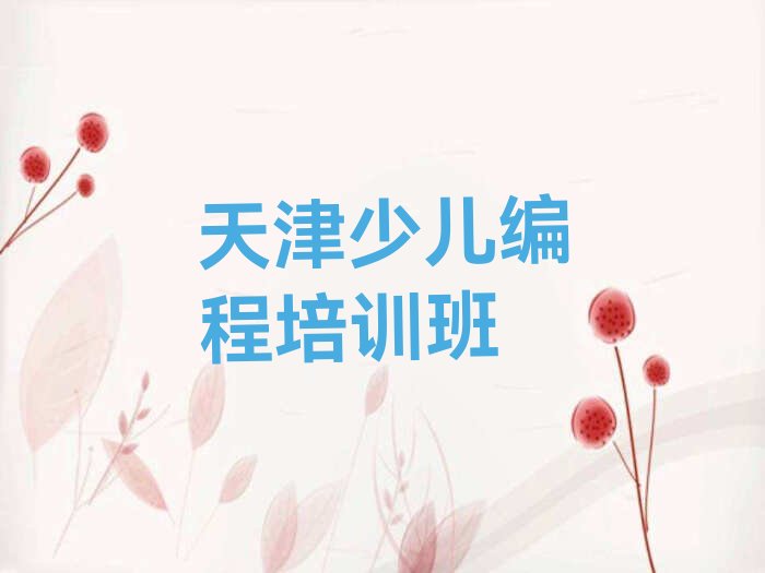 天津少儿编程培训班