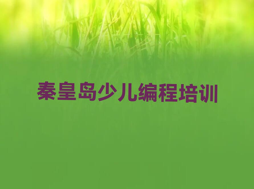 秦皇岛山海关区西关街道少儿编程培训学校