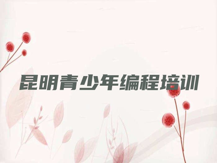 青少年编程