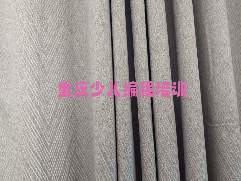 重庆潼南区龙形镇少儿编程科技素质培训学校