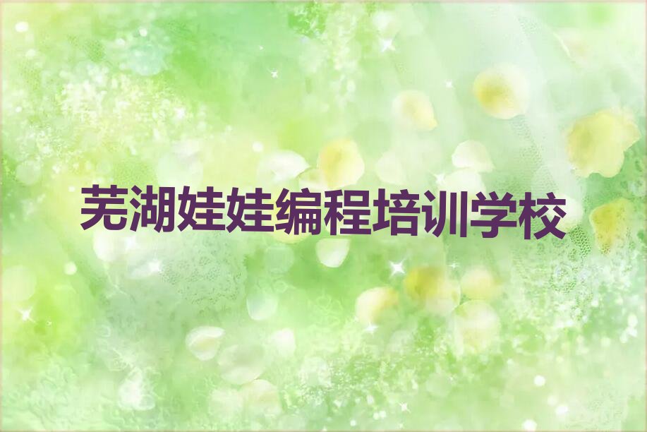 芜湖娃娃编程培训学校