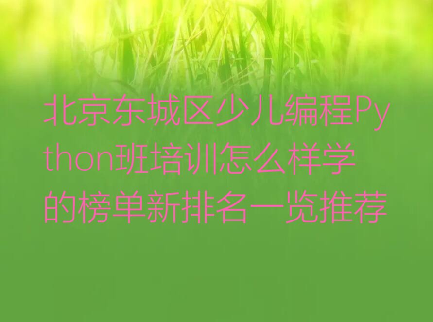北京东城区建国门街道少儿编程Python培训学校