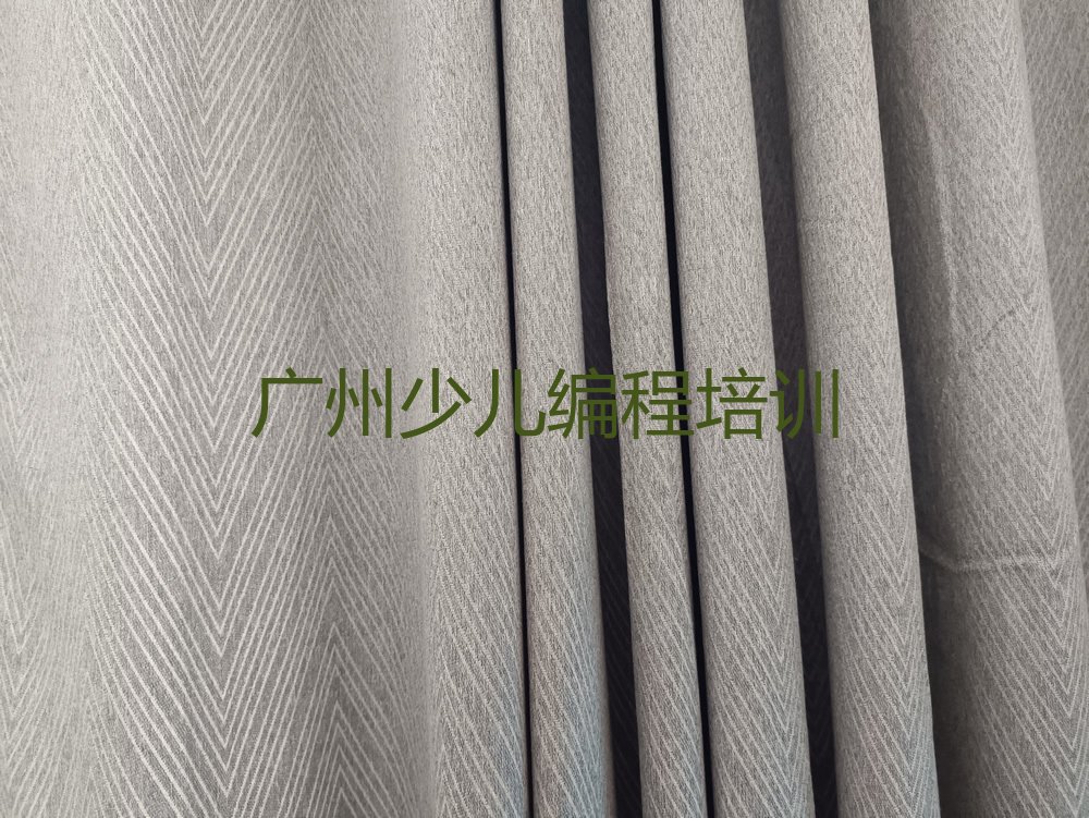广州增城区少儿编程培训中心