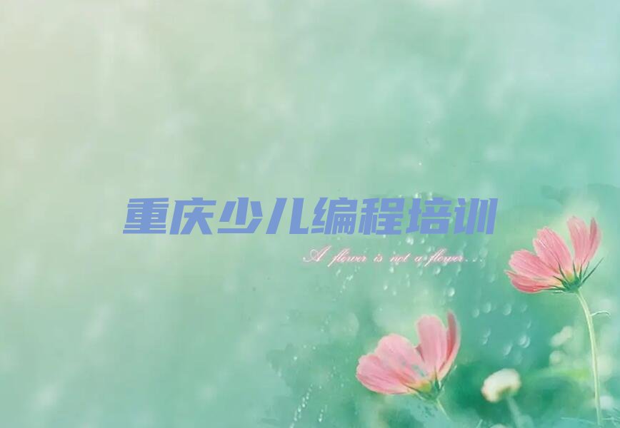 孩子编程