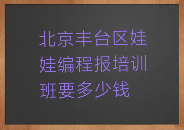 十大北京丰台区娃娃编程报培训班要多少钱排行榜