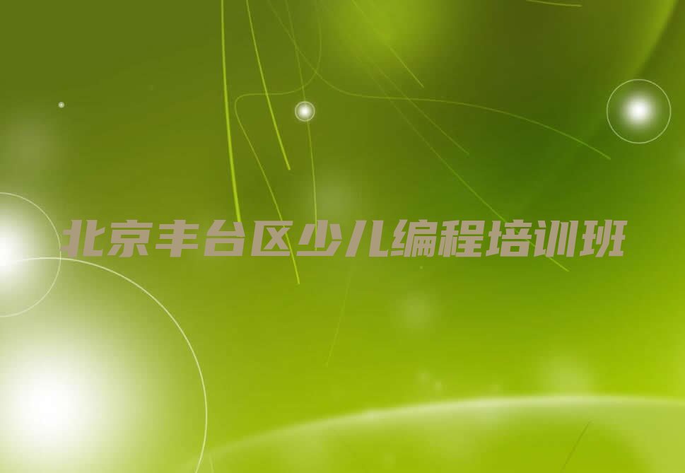 北京丰台区少儿编程培训班