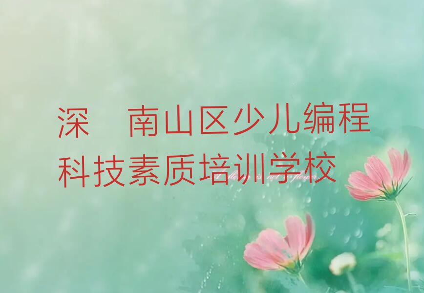 深圳南山区少儿编程科技素质培训学校