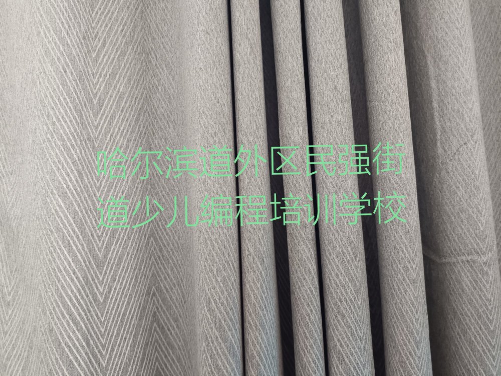 哈尔滨道外区民强街道少儿编程培训学校