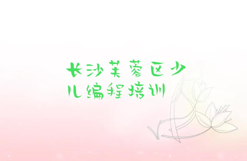 长沙芙蓉区少儿编程培训