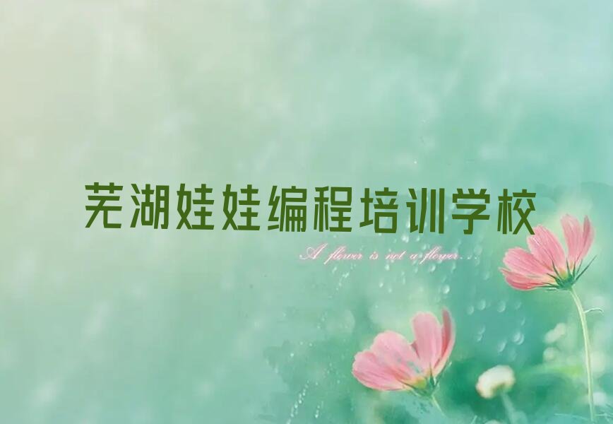 芜湖娃娃编程培训学校