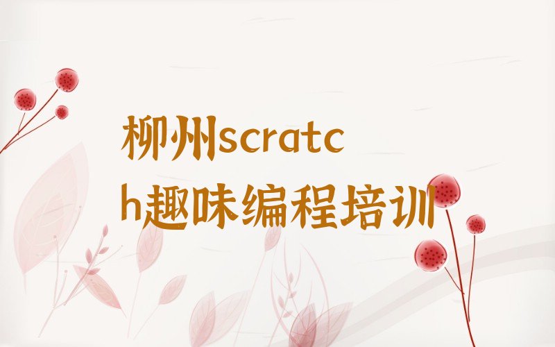 柳州柳北区少儿编程培训学校