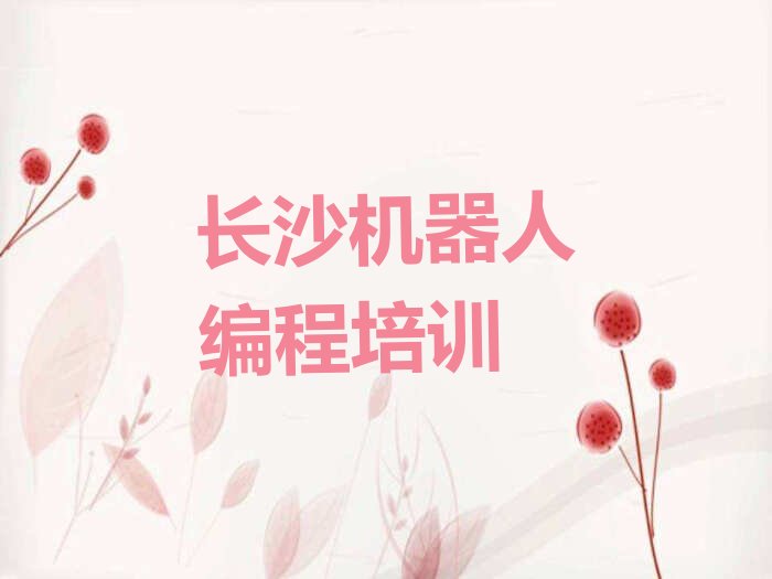 长沙雨花区少儿编程培训中心