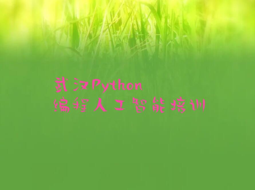 武汉青山区Python编程人工智能培训学校