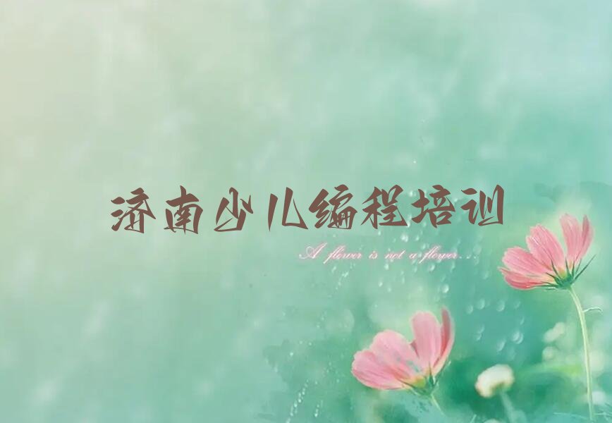 济南少儿AI机器人编程培训学校