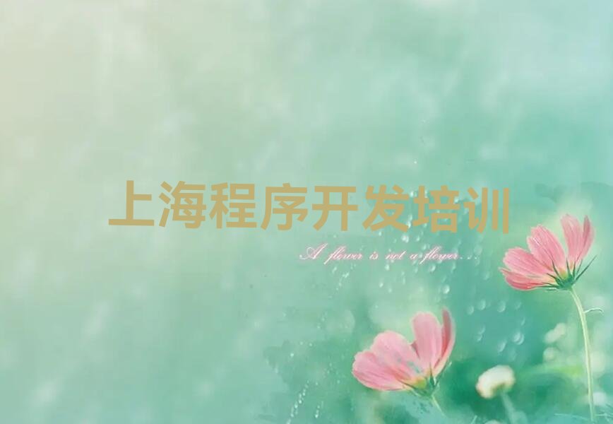十大上海黄浦区python上海黄浦区培训中心课程排行榜