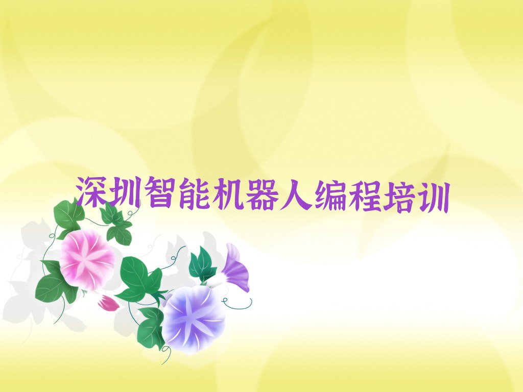深圳少儿编程培训中心