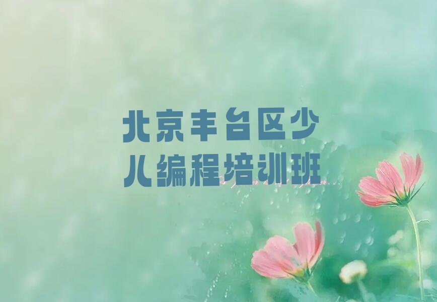 北京丰台区少儿编程培训班