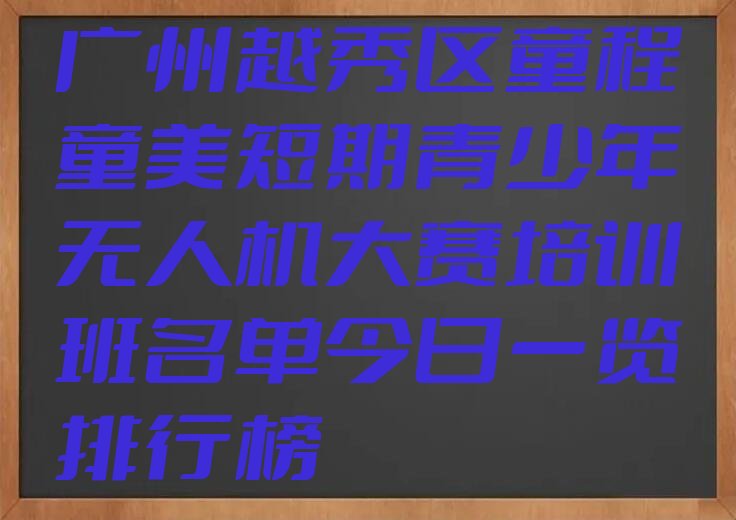 广州越秀区人民街道青少年无人机大赛培训学校