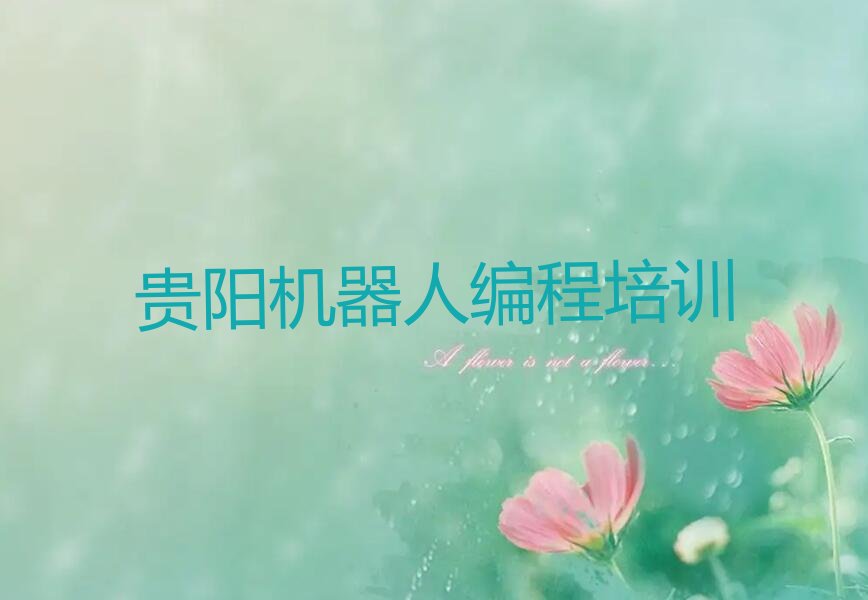 贵阳观山湖区少儿编程培训班
