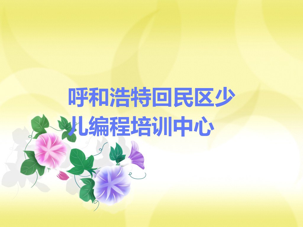 呼和浩特回民区少儿编程培训中心