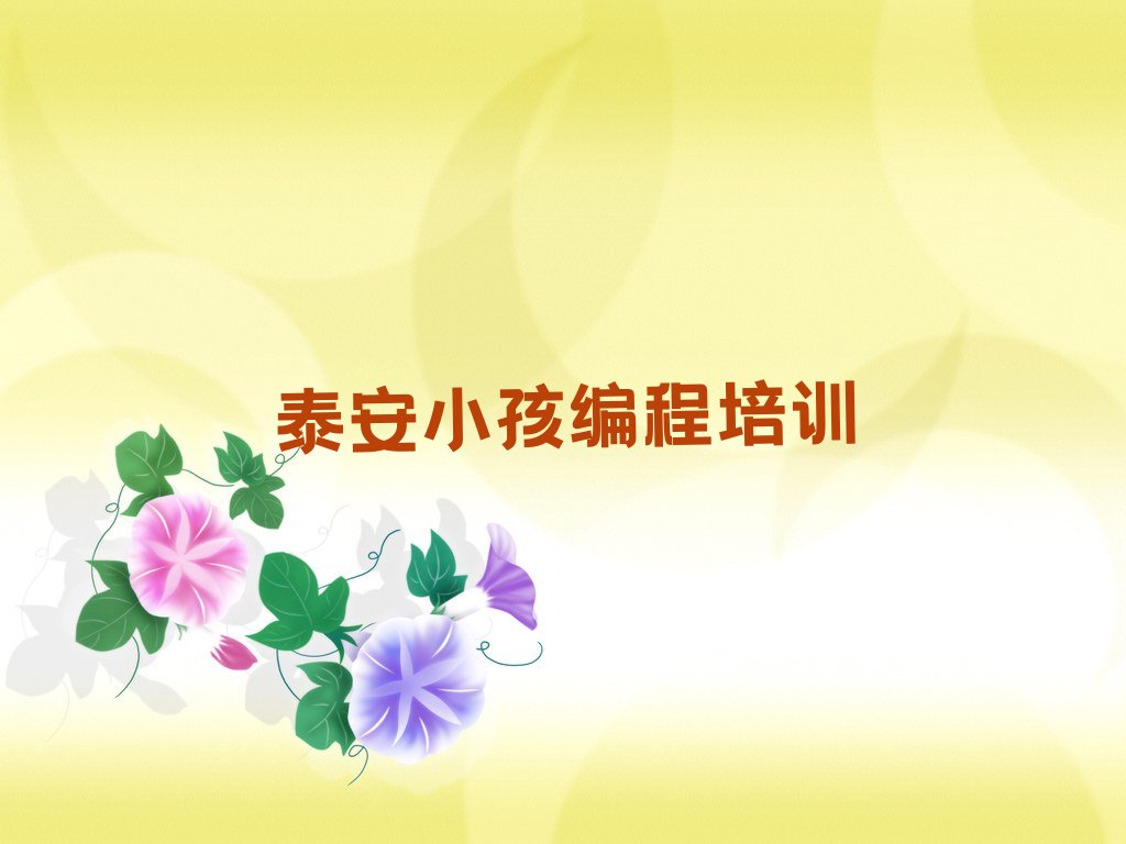 泰安泰山区小孩编程培训学校
