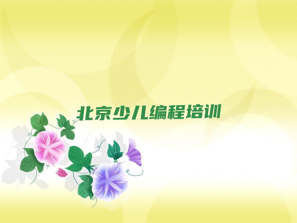 北京少儿编程培训