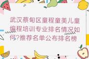 武汉蔡甸区童程童美儿童编程培训专业排名情况如何?推荐名单公布排名榜