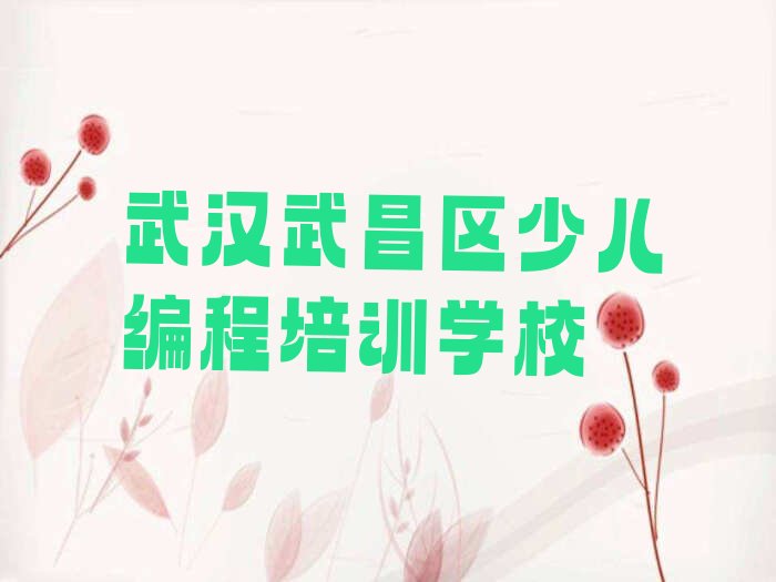 武汉武昌区少儿编程培训学校