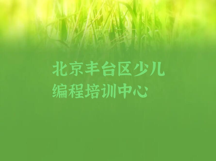 北京丰台区少儿编程培训中心