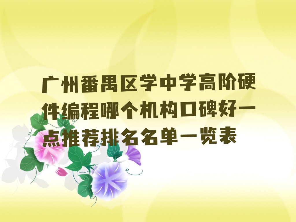 广州番禺区洛浦街道少儿编程培训学校