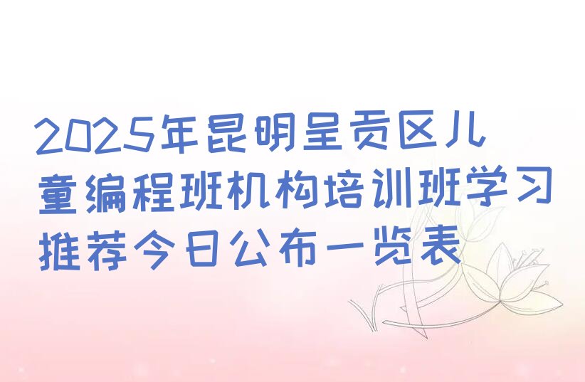 昆明呈贡区少儿编程培训中心