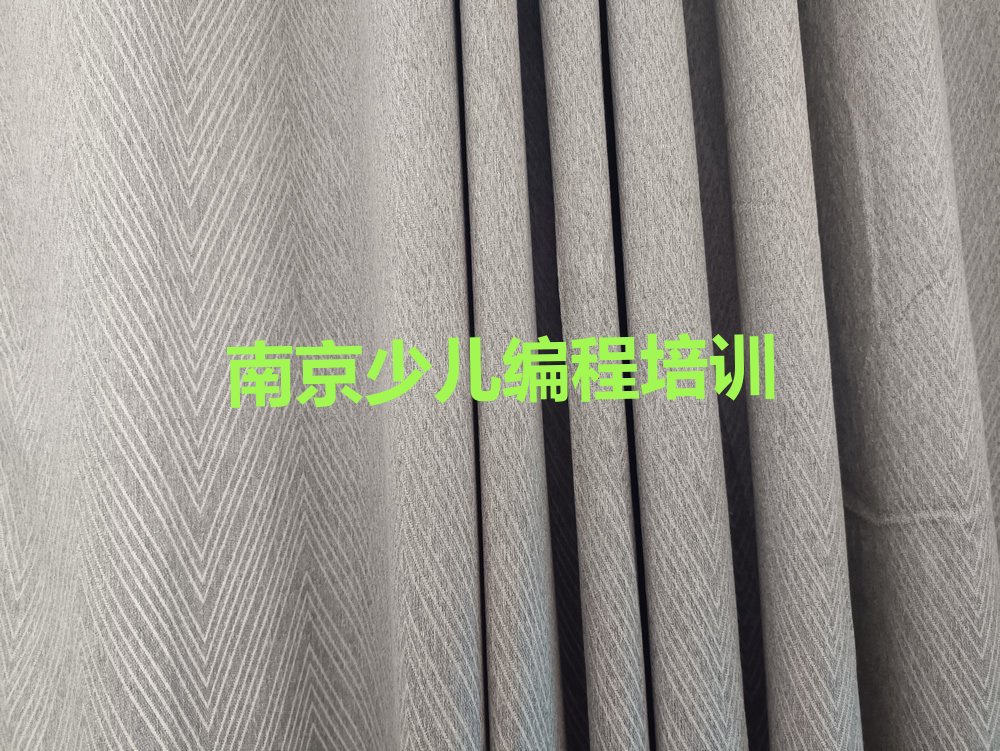 南京高淳区少儿编程培训班