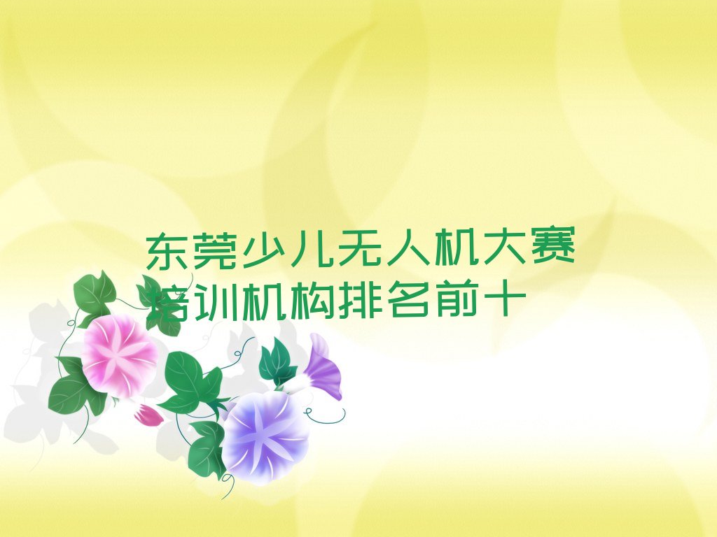东莞少儿无人机大赛培训学校