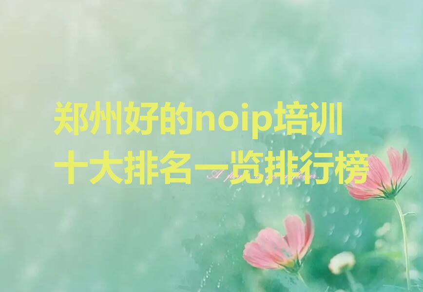 noip