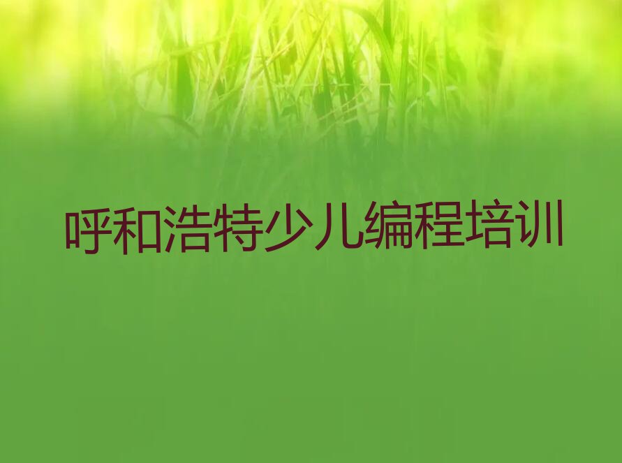 呼和浩特回民区少儿编程培训中心