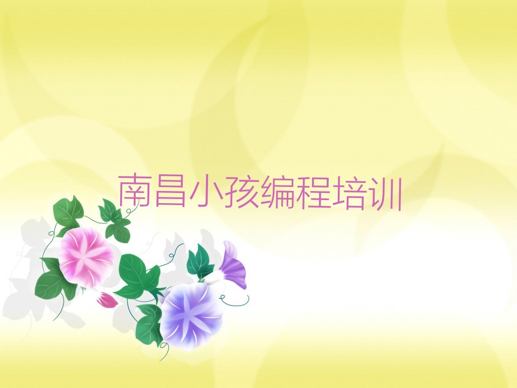 南昌青山湖区冠山管理处少儿编程培训学校