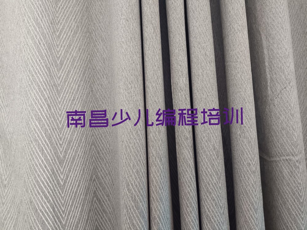 南昌青山湖区冠山管理处少儿编程培训学校
