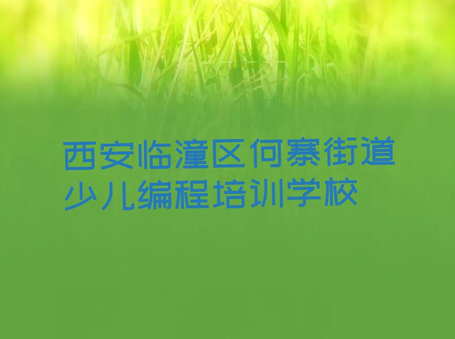 西安临潼区何寨街道少儿编程培训学校