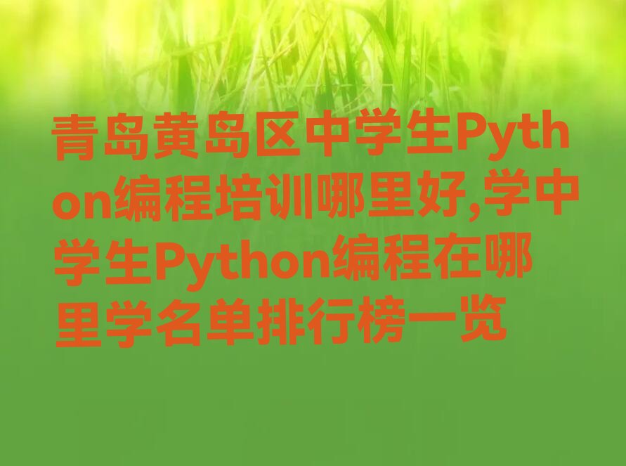 青岛黄岛区滨海街道中学生Python编程培训学校